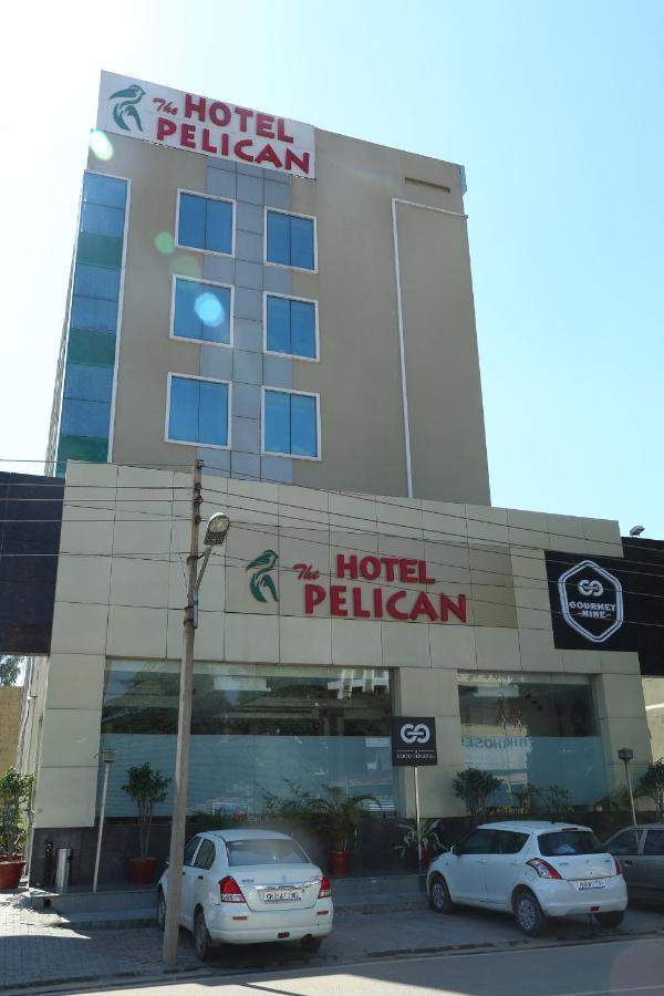 The Pelican Bed & Breakfast Chandigarh Exterior photo